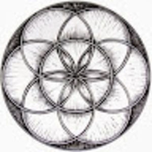 Meet your Posher, Lyme45